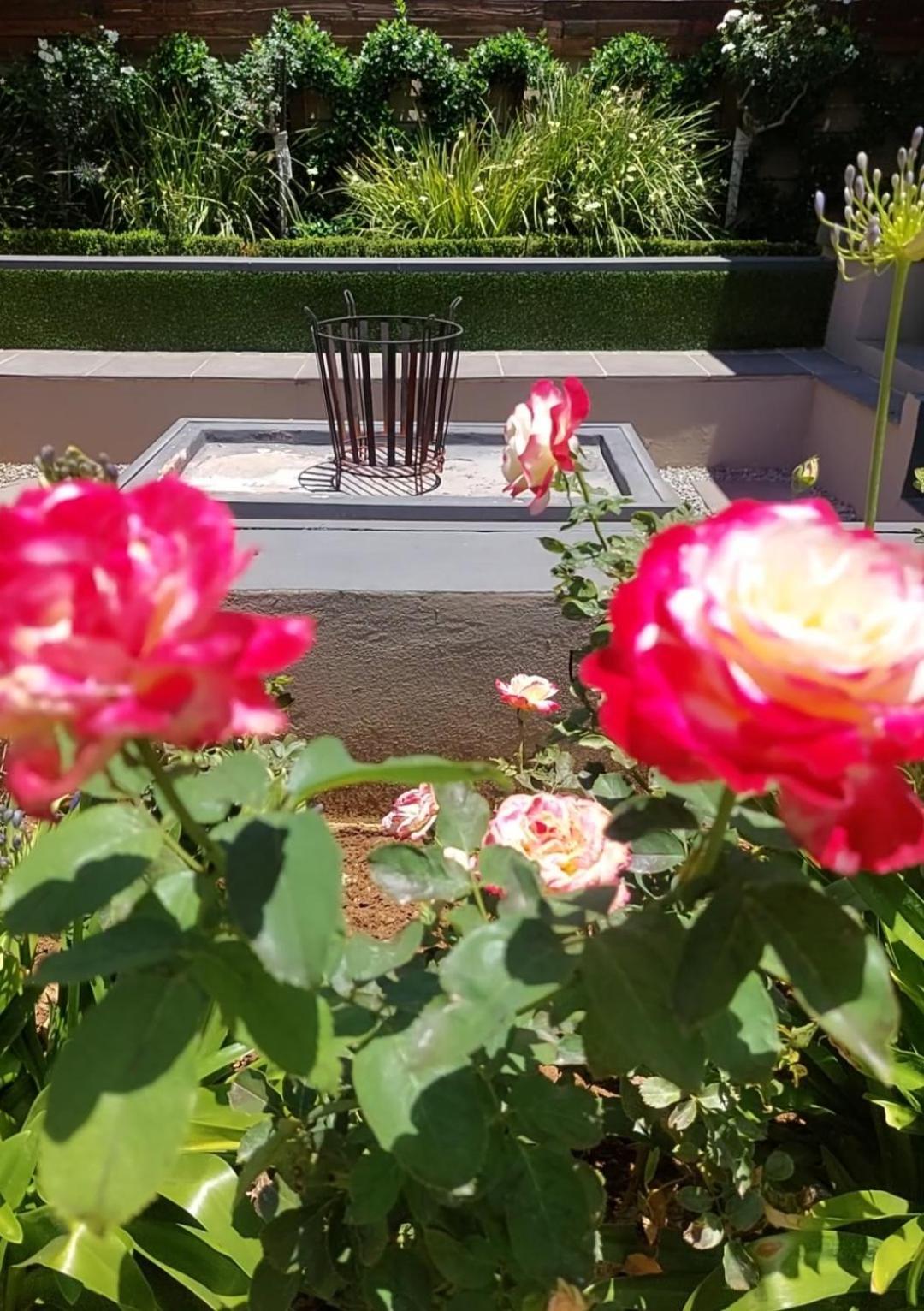 Bed and Breakfast Bella Rosa Potchefstroom Zewnętrze zdjęcie